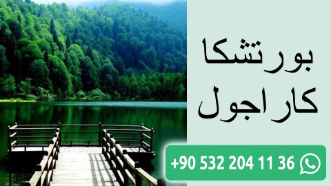 بورتشكا كاراجول